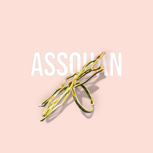 La bague ASSOUAN