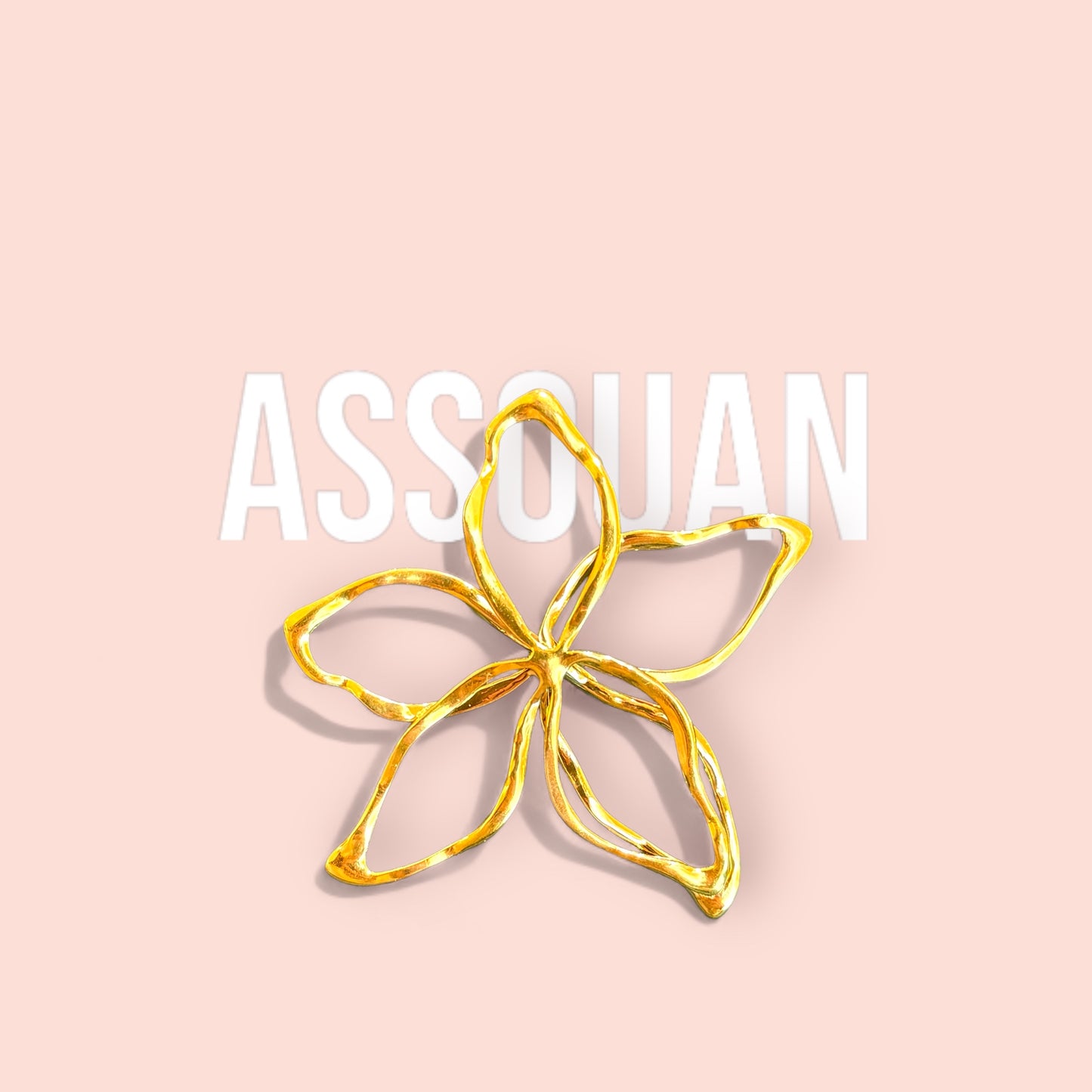 La bague ASSOUAN