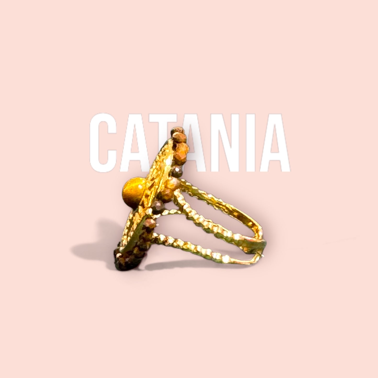 The CATANIA ring