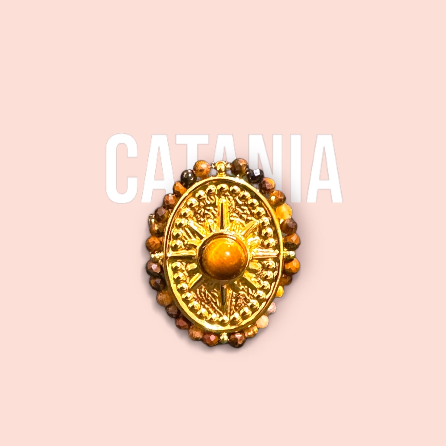 The CATANIA ring 