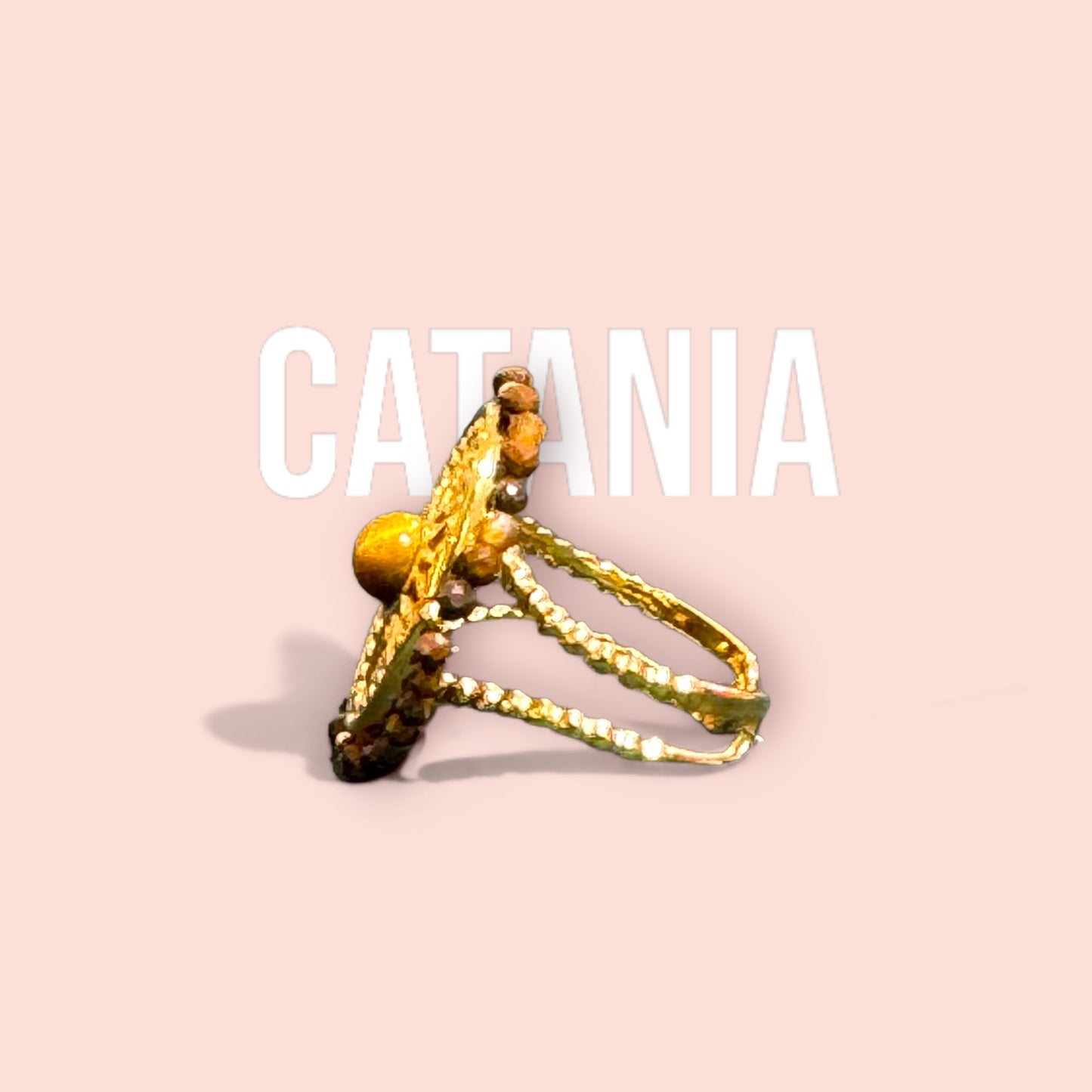 The CATANIA ring 