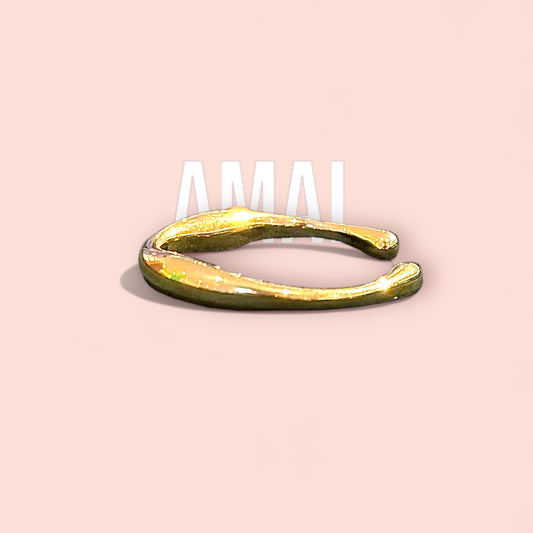 The AMAL ring